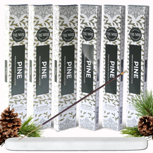 Pine encens bâtonnets - total 120 coffres à insence - 6 paquets de 20 insensibles - Incinsos - encens - ingrédients naturels non toxiques - encens - encens - encens - insents